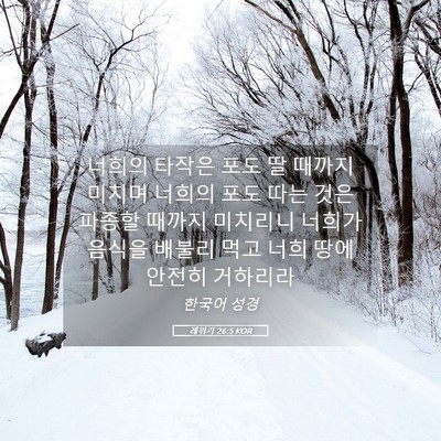Picture 05 - 레위기 26:5 KOR - 너희의 타작은 포도 딸 때까지 - Bible Verse Picture