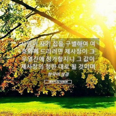 Picture 05 - 레위기 27:14 KOR - 사람이 자기 집을 구별하여 여호와께 - Bible Verse Picture