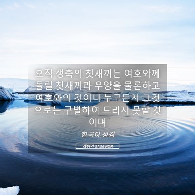 Picture 05 - 레위기 27:26 KOR - 오직 생축의 첫새끼는 여호와께 돌릴 - Bible Verse Picture