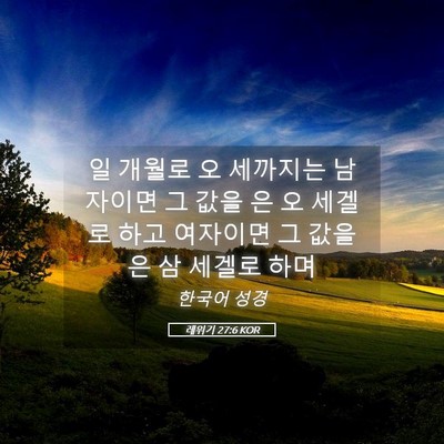 Picture 05 - 레위기 27:6 KOR - 일 개월로 오 세까지는 남자이면 그 - Bible Verse Picture