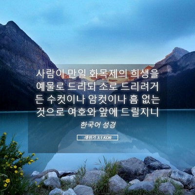 Picture 05 - 레위기 3:1 KOR - 사람이 만일 화목제의 희생을 예물로 - Bible Verse Picture
