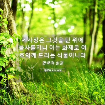 Picture 05 - 레위기 3:11 KOR - 제사장은 그것을 단 위에 불사를지니 - Bible Verse Picture