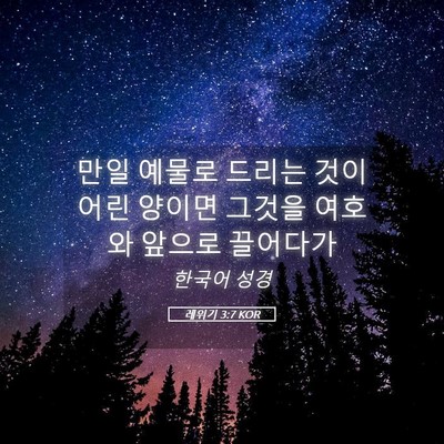 Picture 05 - 레위기 3:7 KOR - 만일 예물로 드리는 것이 어린 - Bible Verse Picture