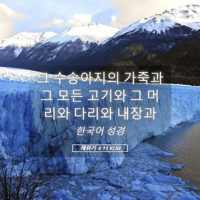 Picture 05 - 레위기 4:11 KOR - 그 수송아지의 가죽과 그 모든 - Bible Verse Picture