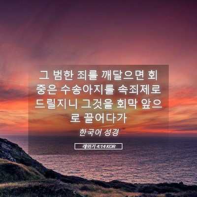 Picture 05 - 레위기 4:14 KOR - 그 범한 죄를 깨달으면 회중은 - Bible Verse Picture