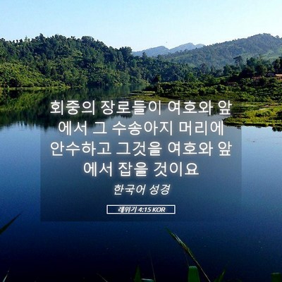 Picture 05 - 레위기 4:15 KOR - 회중의 장로들이 여호와 앞에서 그 - Bible Verse Picture