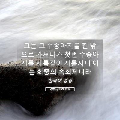 Picture 05 - 레위기 4:21 KOR - 그는 그 수송아지를 진 밖으로 - Bible Verse Picture