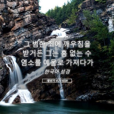Picture 05 - 레위기 4:23 KOR - 그 범한 죄에 깨우침을 받거든 그는 - Bible Verse Picture