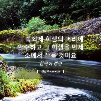 Picture 05 - 레위기 4:29 KOR - 그 속죄제 희생의 머리에 안수하고 - Bible Verse Picture