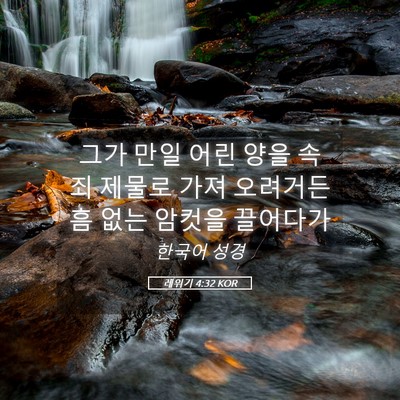 Picture 05 - 레위기 4:32 KOR - 그가 만일 어린 양을 속죄 제물로 - Bible Verse Picture