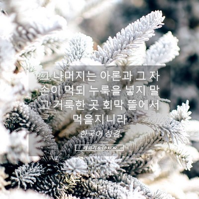 Picture 05 - 레위기 6:16 KOR - 그 나머지는 아론과 그 자손이 먹되 - Bible Verse Picture