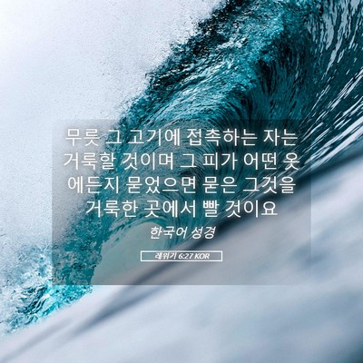 Picture 05 - 레위기 6:27 KOR - 무릇 그 고기에 접촉하는 자는 - Bible Verse Picture