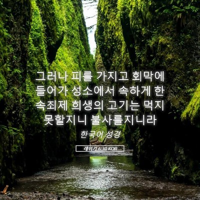 Picture 05 - 레위기 6:30 KOR - 그러나 피를 가지고 회막에 들어가 - Bible Verse Picture