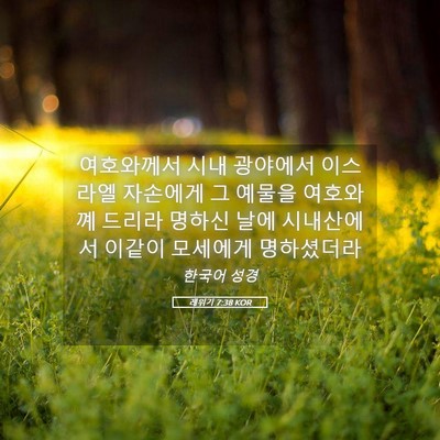 Picture 05 - 레위기 7:38 KOR - 여호와께서 시내 광야에서 이스라엘 - Bible Verse Picture