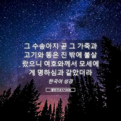Picture 05 - 레위기 8:17 KOR - 그 수송아지 곧 그 가죽과 고기와 - Bible Verse Picture