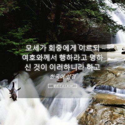 Picture 05 - 레위기 8:5 KOR - 모세가 회중에게 이르되 여호와께서 - Bible Verse Picture