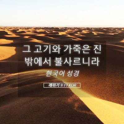 Picture 05 - 레위기 9:11 KOR - 그 고기와 가죽은 진 밖에서 - Bible Verse Picture