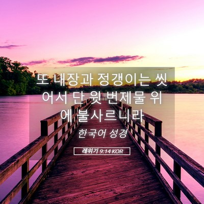 Picture 05 - 레위기 9:14 KOR - 또 내장과 정갱이는 씻어서 단 윗 - Bible Verse Picture