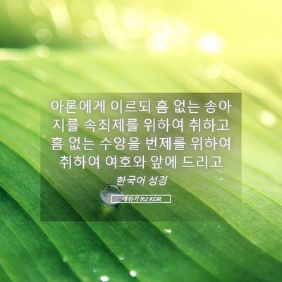 Picture 05 - 레위기 9:2 KOR - 아론에게 이르되 흠 없는 송아지를 - Bible Verse Picture