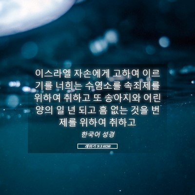 Picture 05 - 레위기 9:3 KOR - 이스라엘 자손에게 고하여 이르기를 - Bible Verse Picture