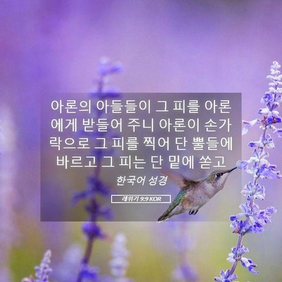 Picture 05 - 레위기 9:9 KOR - 아론의 아들들이 그 피를 아론에게 - Bible Verse Picture