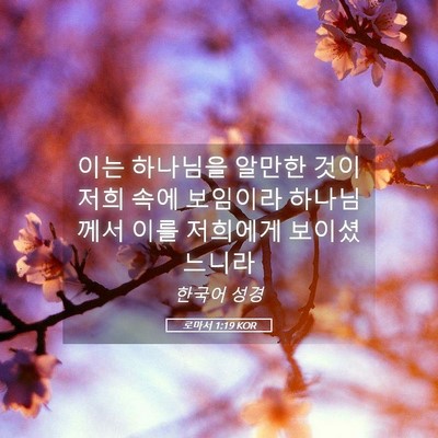 Picture 05 - 로마서 1:19 KOR - 이는 하나님을 알만한 것이 저희 - Bible Verse Picture