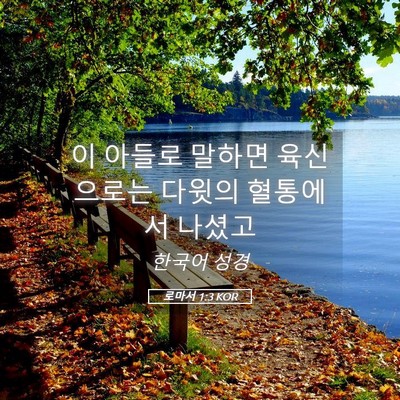Picture 05 - 로마서 1:3 KOR - 이 아들로 말하면 육신으로는 다윗의 - Bible Verse Picture