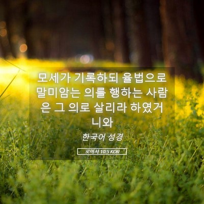 Picture 05 - 로마서 10:5 KOR - 모세가 기록하되 율법으로 말미암는 - Bible Verse Picture
