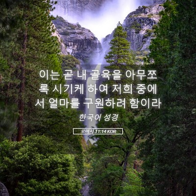 Picture 05 - 로마서 11:14 KOR - 이는 곧 내 골육을 아무쪼록 시기케 - Bible Verse Picture