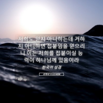 Picture 05 - 로마서 11:23 KOR - 저희도 믿지 아니하는데 거하지 - Bible Verse Picture