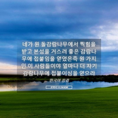 Picture 05 - 로마서 11:24 KOR - 네가 원 돌감람나무에서 찍힘을 받고 - Bible Verse Picture