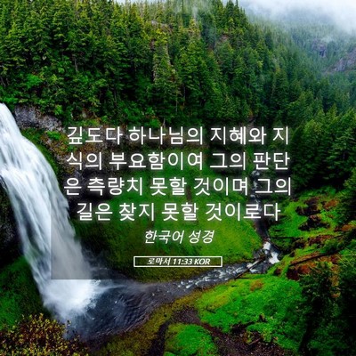 Picture 05 - 로마서 11:33 KOR - 깊도다 하나님의 지혜와 지식의 - Bible Verse Picture