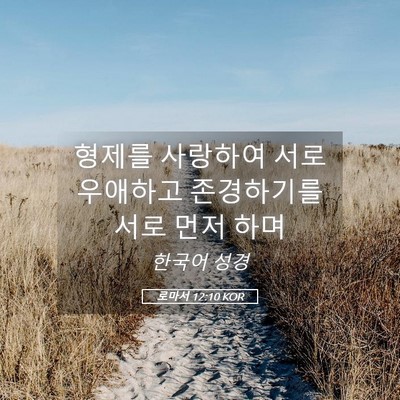 Picture 05 - 로마서 12:10 KOR - 형제를 사랑하여 서로 우애하고 - Bible Verse Picture