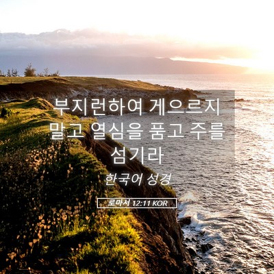 Picture 05 - 로마서 12:11 KOR - 부지런하여 게으르지 말고 열심을 - Bible Verse Picture