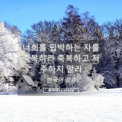 Picture 05 - 로마서 12:14 KOR - 너희를 핍박하는 자를 축복하라 - Bible Verse Picture