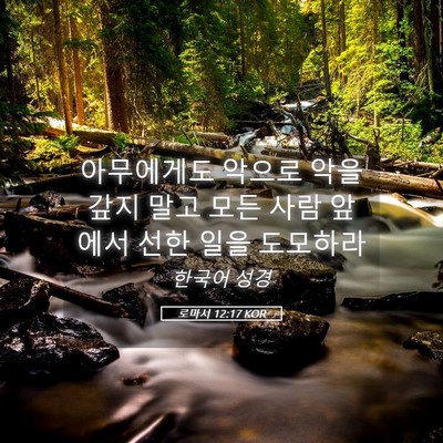 Picture 05 - 로마서 12:17 KOR - 아무에게도 악으로 악을 갚지 말고 - Bible Verse Picture