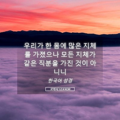 Picture 05 - 로마서 12:4 KOR - 우리가 한 몸에 많은 지체를 - Bible Verse Picture