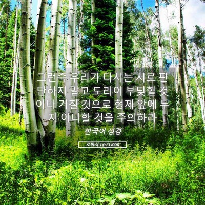 Picture 05 - 로마서 14:13 KOR - 그런즉 우리가 다시는 서로 판단하지 - Bible Verse Picture