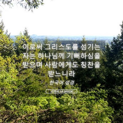 Picture 05 - 로마서 14:18 KOR - 이로써 그리스도를 섬기는 자는 - Bible Verse Picture