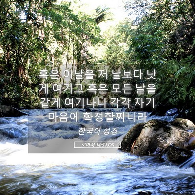 Picture 05 - 로마서 14:5 KOR - 혹은 이날을 저 날보다 낫게 여기고 - Bible Verse Picture