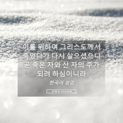 Picture 05 - 로마서 14:9 KOR - 이를 위하여 그리스도께서 죽었다가 - Bible Verse Picture