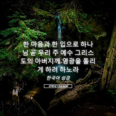 Picture 05 - 로마서 15:6 KOR - 한 마음과 한 입으로 하나님 곧 우리 - Bible Verse Picture