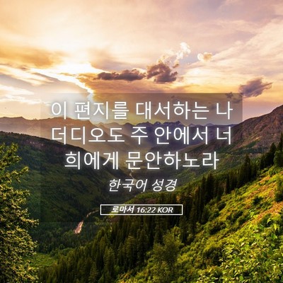 Picture 05 - 로마서 16:22 KOR - 이 편지를 대서하는 나 더디오도 주 - Bible Verse Picture