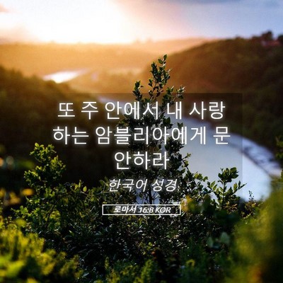 Picture 05 - 로마서 16:8 KOR - 또 주 안에서 내 사랑하는 - Bible Verse Picture