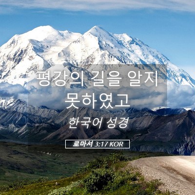 Picture 05 - 로마서 3:17 KOR - 평강의 길을 알지 - Bible Verse Picture