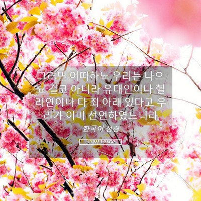 Picture 05 - 로마서 3:9 KOR - 그러면 어떠하뇨 우리는 나으뇨 결코 - Bible Verse Picture
