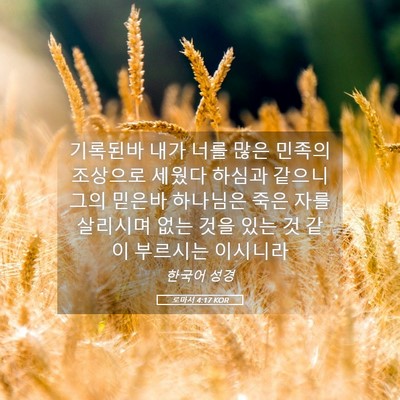 Picture 05 - 로마서 4:17 KOR - 기록된바 내가 너를 많은 민족의 - Bible Verse Picture