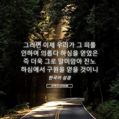 Picture 05 - 로마서 5:9 KOR - 그러면 이제 우리가 그 피를 인하여 - Bible Verse Picture