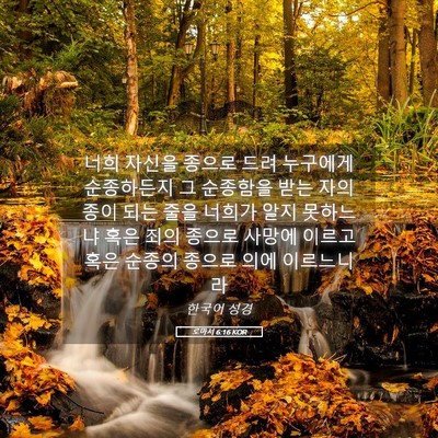 Picture 05 - 로마서 6:16 KOR - 너희 자신을 종으로 드려 누구에게 - Bible Verse Picture