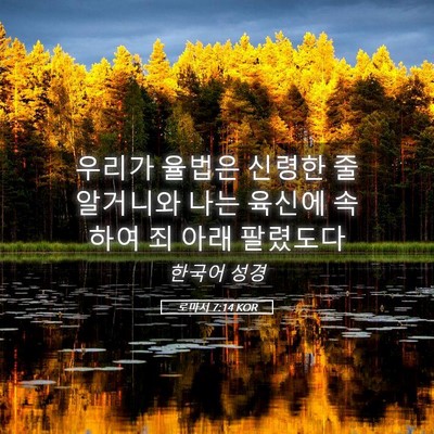 Picture 05 - 로마서 7:14 KOR - 우리가 율법은 신령한 줄 알거니와 - Bible Verse Picture